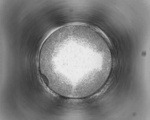 X0000098110860200805021131