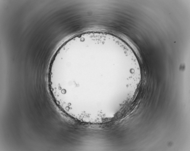 X0000098110861200805021131