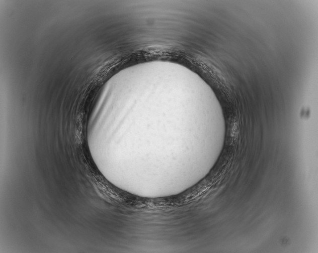 X0000098110868200805021130