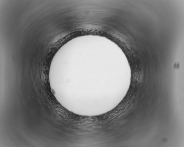 X0000098110869200805021130