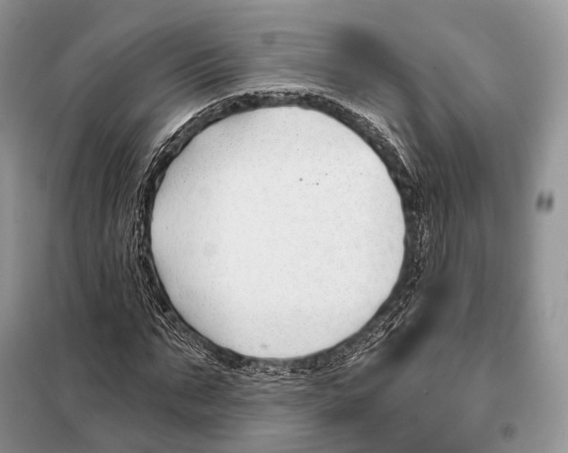 X0000098110871200805021130