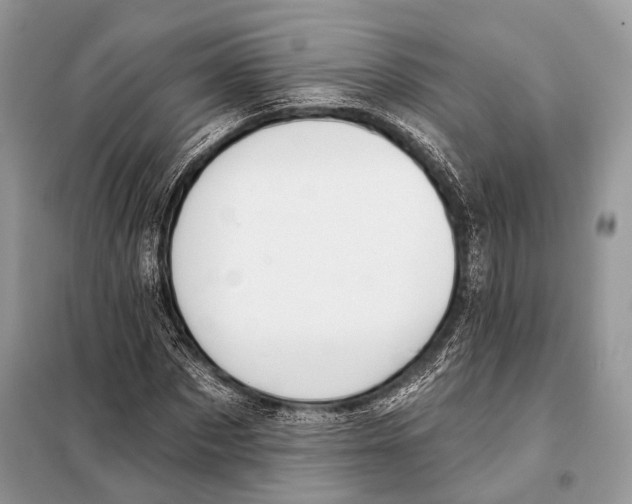 X0000098110873200805021130