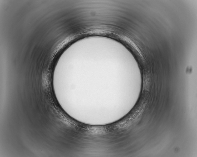 X0000098110874200805021130