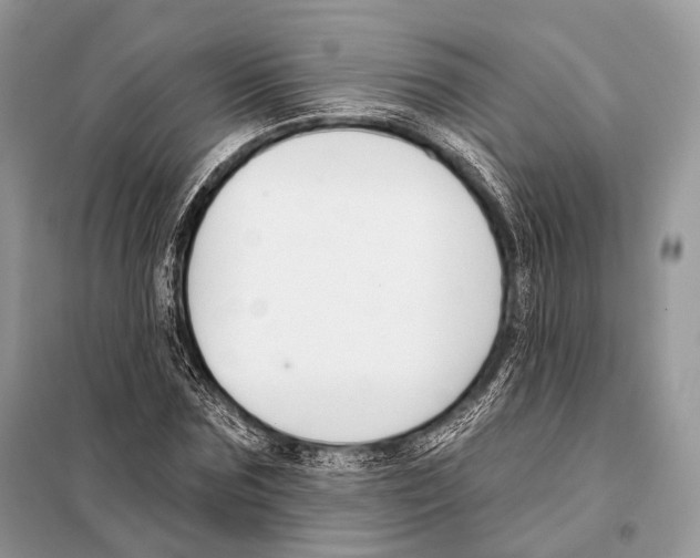 X0000098110875200805021130