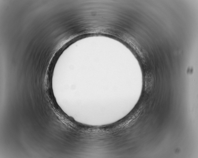 X0000098110876200805021130