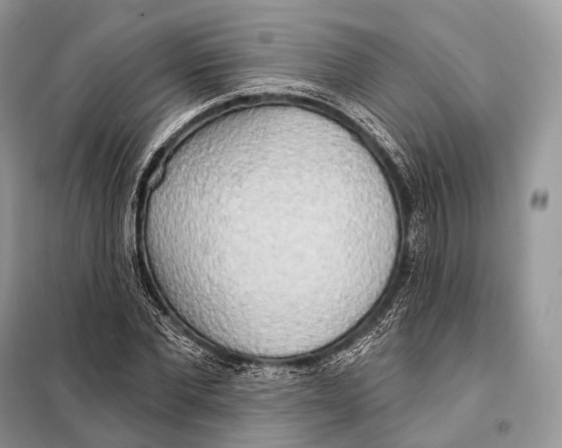 X0000098110877200805021130