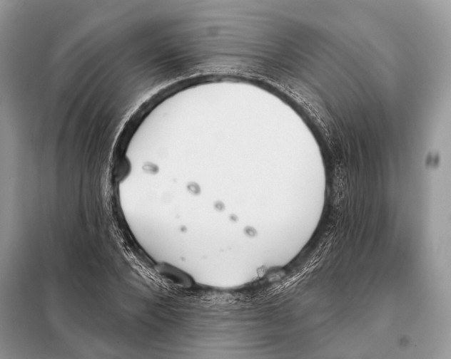 X0000098110880200805021130