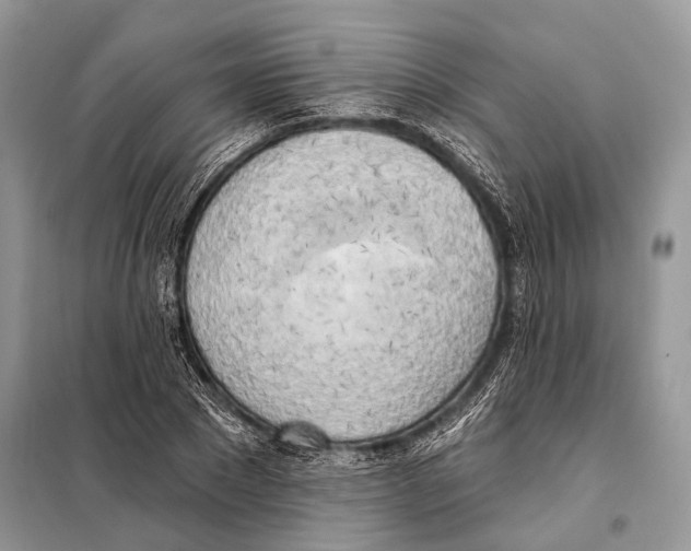 X0000098110881200805021130
