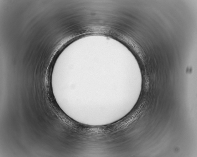 X0000098110883200805021130