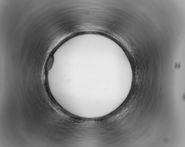 X0000098110885200805021130