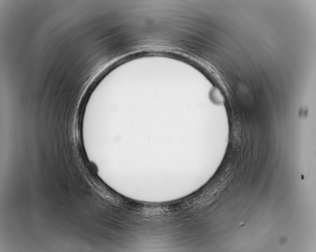 X0000098110887200805021130