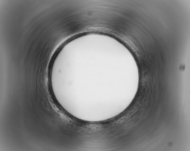 X0000098110888200805021130