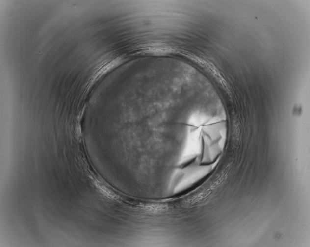 X0000098110889200805021130