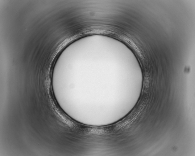 X0000098110890200805021130