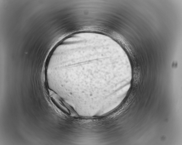 X0000098110892200805021130