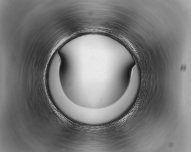 X0000098110893200805021130