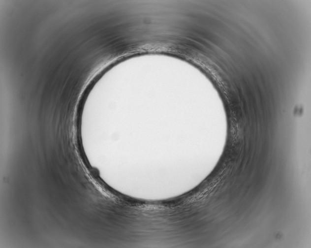 X0000098110894200805021130