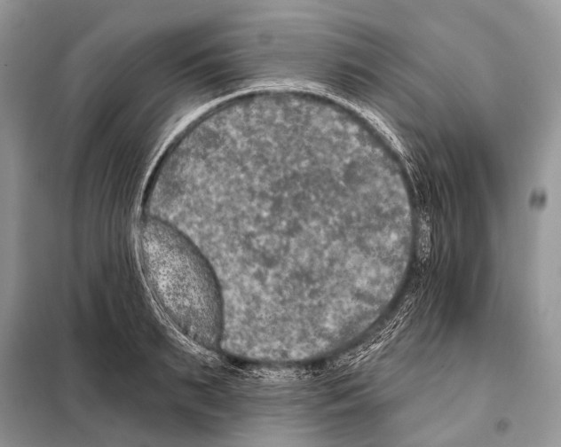 X0000098110895200805021130