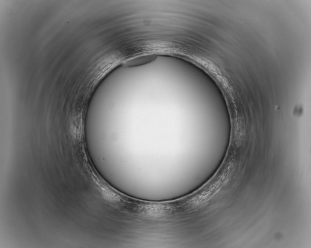 X0000098110897200805021130