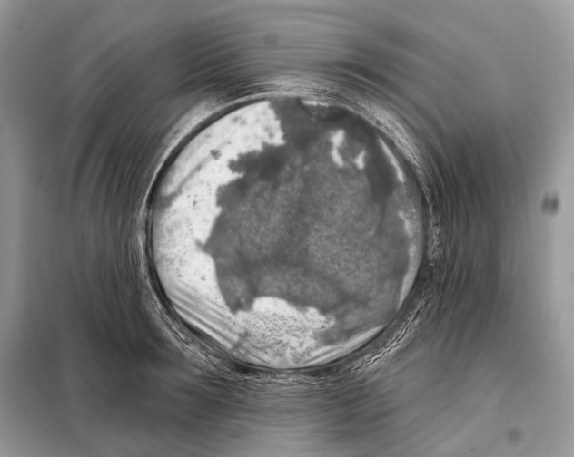 X0000098110899200805021130