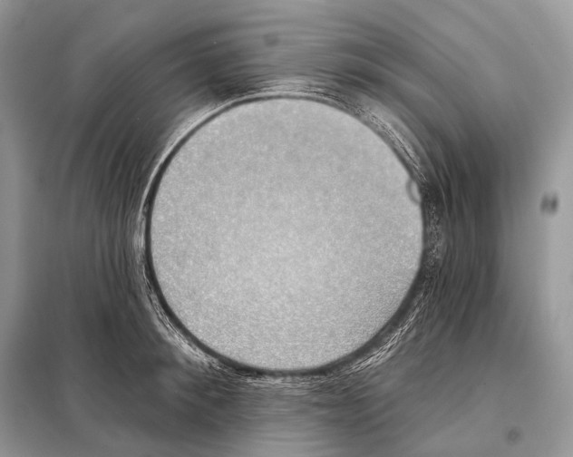 X0000098110900200805021130