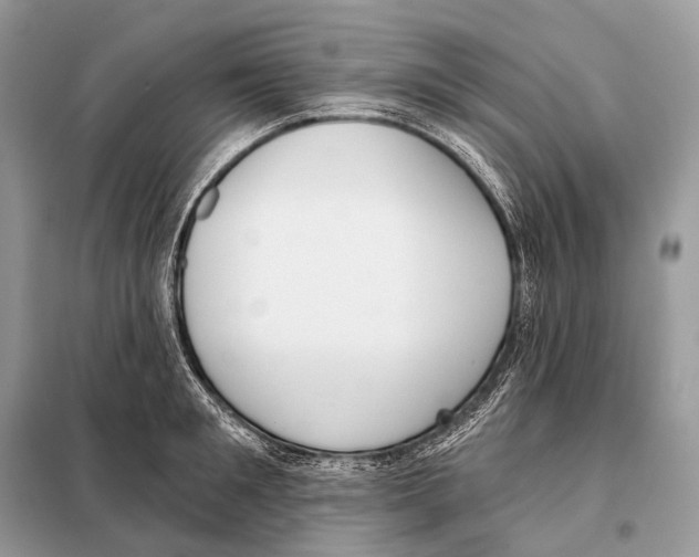 X0000098110901200805021130