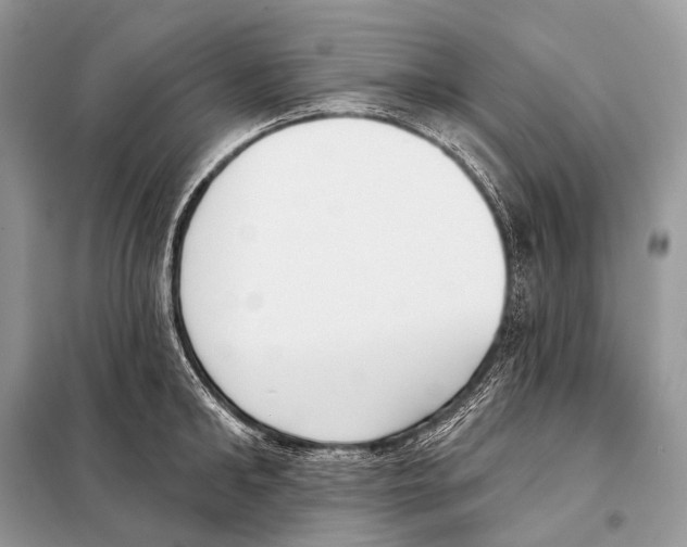 X0000098110902200805021130