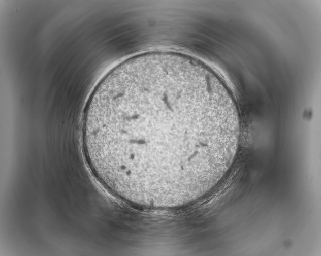 X0000098110903200805021130