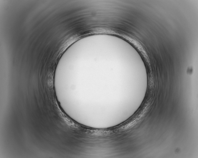 X0000098110905200805021130