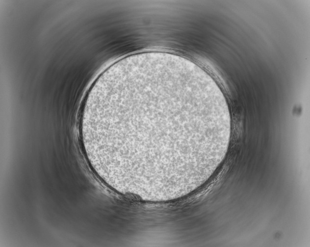 X0000098110908200805021130