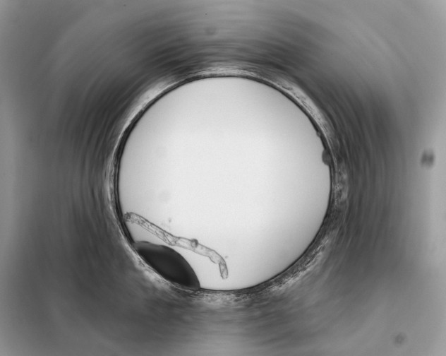 X0000098110909200805021130