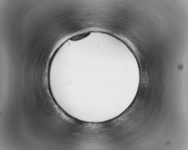 X0000098110910200805021130