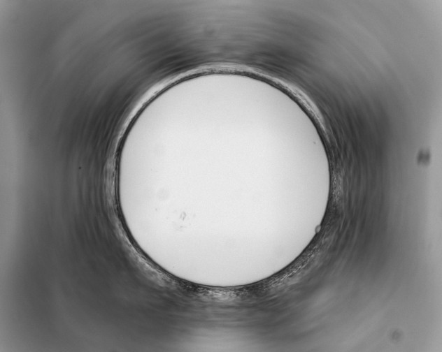 X0000098110911200805021130