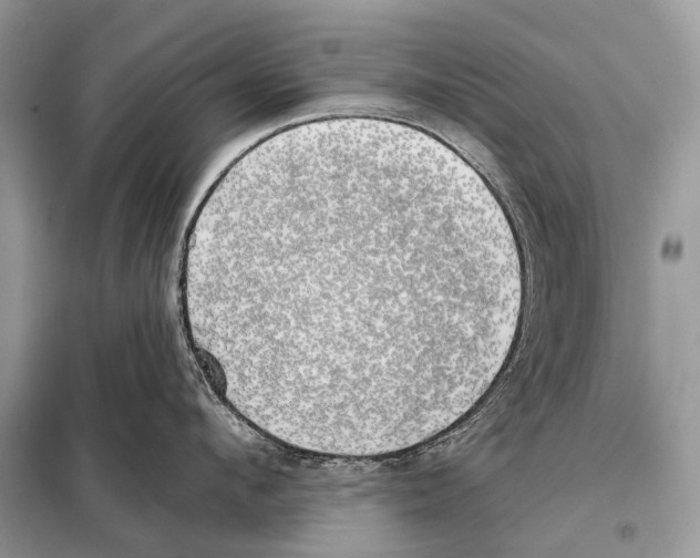 X0000098110912200805021130