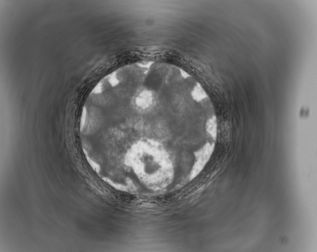 X0000098110913200805021129