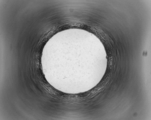 X0000098110916200805021129