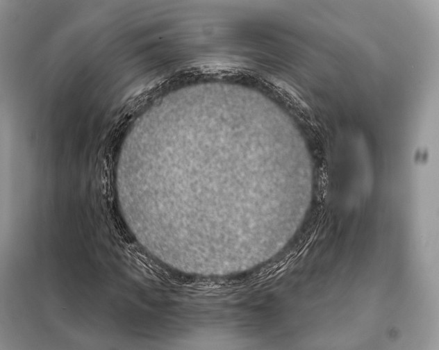 X0000098110917200805021129