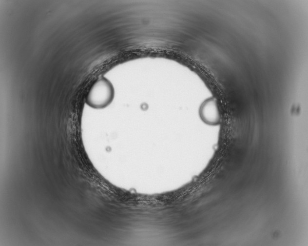 X0000098110918200805021129