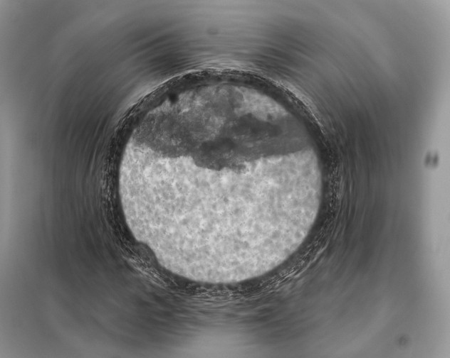 X0000098110919200805021129