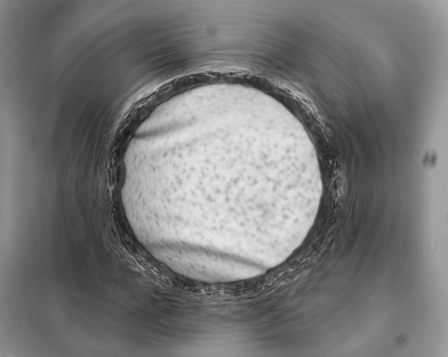 X0000098110920200805021129