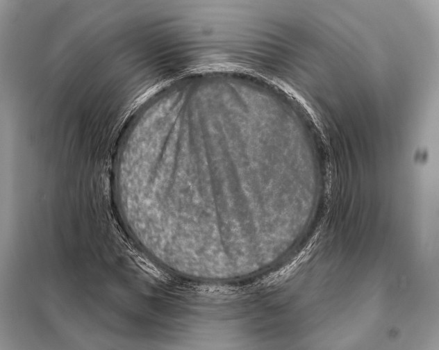 X0000098110921200805021129