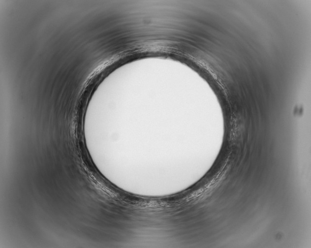 X0000098110922200805021129