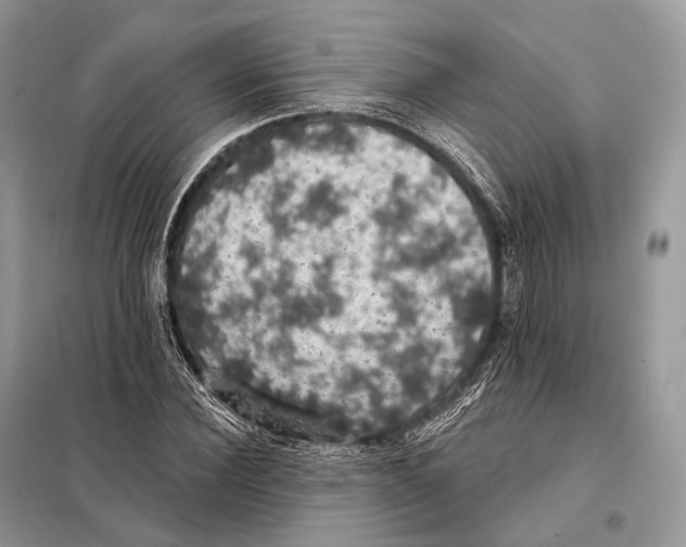 X0000098110924200805021129