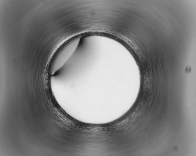 X0000098110926200805021129