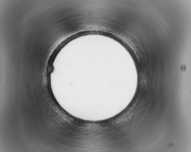 X0000098110927200805021129