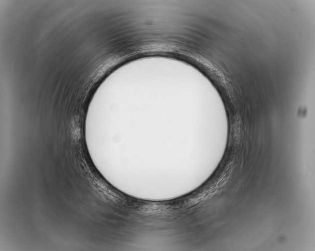 X0000098110929200805021129