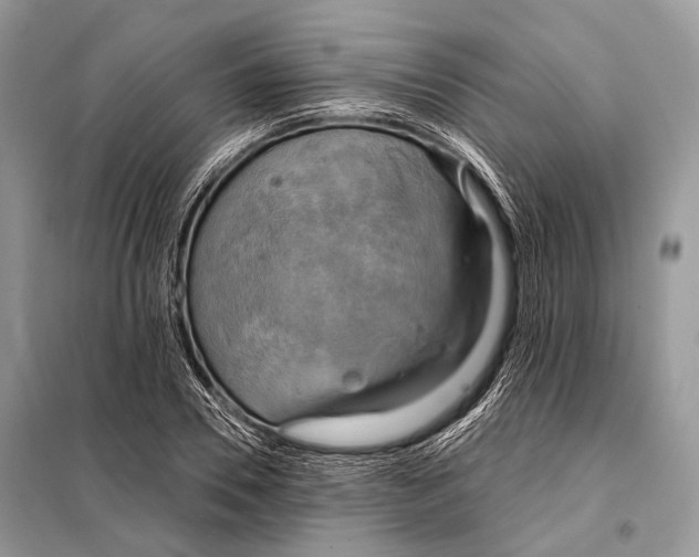 X0000098110930200805021129