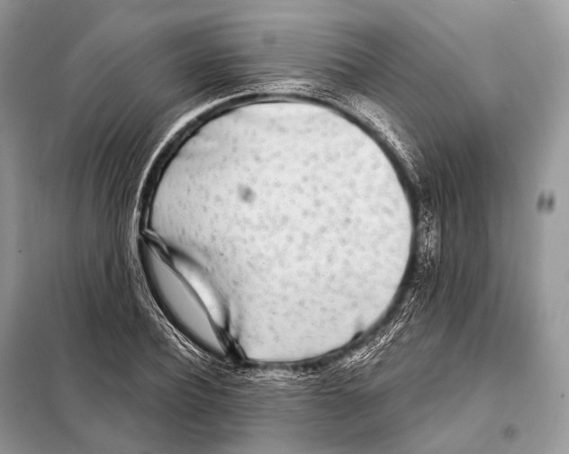 X0000098110932200805021129