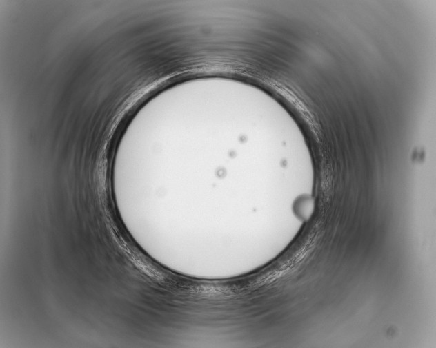 X0000098110933200805021129