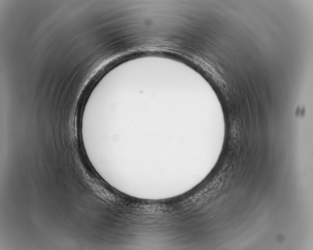 X0000098110934200805021129